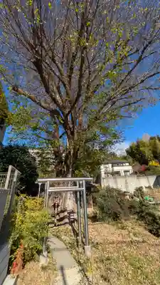 豊媛大明神(大阪府)