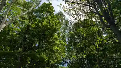 更喜苫内神社(北海道)