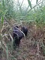手力雄神社(岐阜県)
