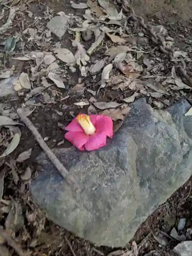 椿大神社(三重県)