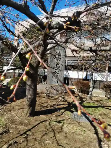 金剛寺の山門