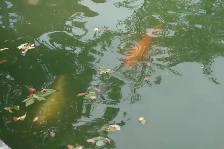 四天王寺の庭園