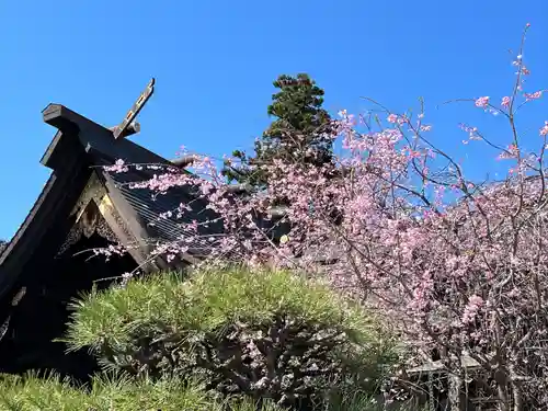 箭弓稲荷神社(埼玉県)