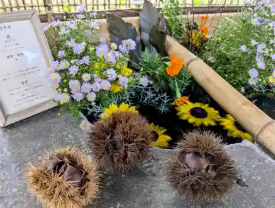 眞田神社(長野県)