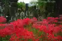 宝蔵院(東京都)