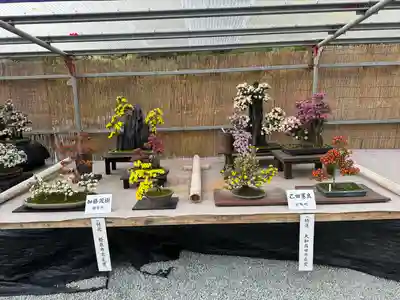 橿原神宮(奈良県)