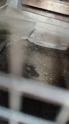 沓石神社(愛知県)