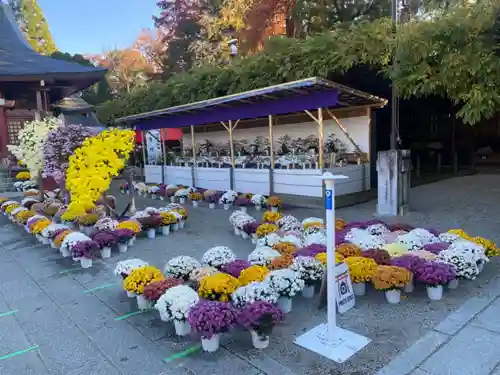 笠間稲荷神社の自然