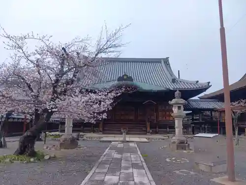 曼陀羅寺(愛知県)