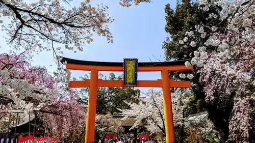 平野神社の鳥居