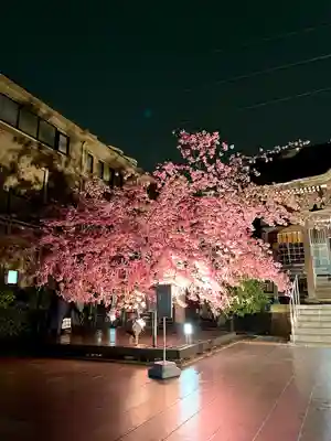 桜神宮(東京都)