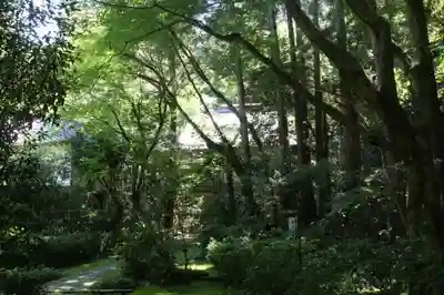 龍潭寺(滋賀県)