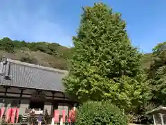 普門寺(切り絵御朱印発祥の寺)の建物その他