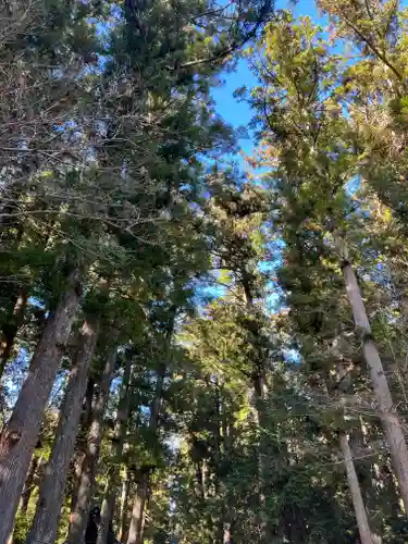 小國神社の自然