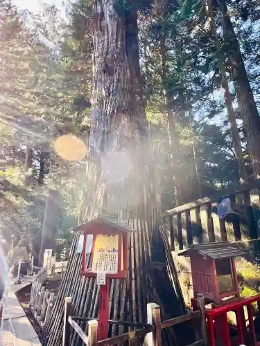 日光東照宮奥宮拝殿の{uncategorized: "未分類", other: "その他", undefined: "問題あり", building: "その他建物", grave: "お墓", sacred_gate: "鳥居", guardian: "狛犬", statue: "像", buddha: "仏像", history: "歴史", nature: "自然", garden: "庭園", animal: "動物", pagoda: "塔", temizu: "手水舎", mountain_gate: "山門・神門", sanctuary: "本殿・本堂", subordinate: "末社・摂社", art: "芸術", scenery: "景色", jizo: "地蔵", ema: "絵馬", goshuin: "御朱印", omikuji: "おみくじ", items: "授与品その他", amulet: "お守り", goshuincho: "御朱印帳", eats: "食事", festival: "お祭り", votive_dance: "神楽", shichigosan: "七五三参", wedding: "結婚式", experience: "体験その他", initially: "初詣", around: "周辺", anti_infection: "感染症対策"}