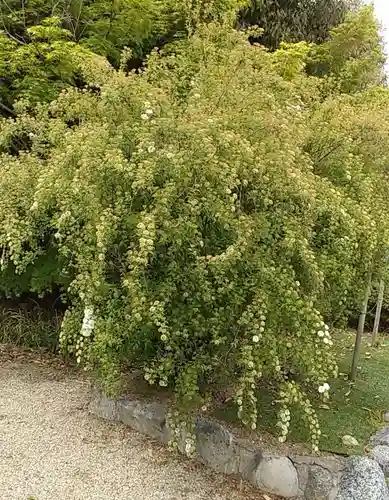 比佐豆知神社(三重県)