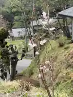 国宝 大法寺の自然