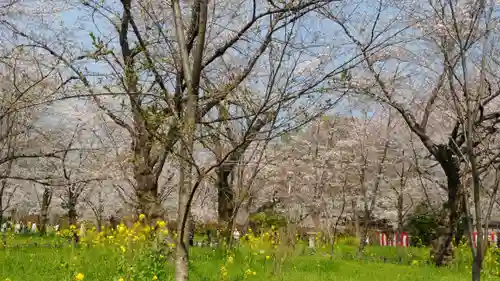 平野神社(京都府)