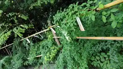梨木神社(京都府)