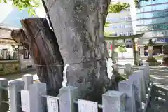 阿邪訶根神社の自然