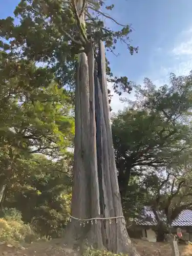 福成寺(広島県)