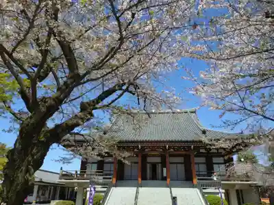 伝通院(東京都)
