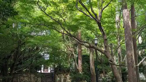 龍安寺(京都府)