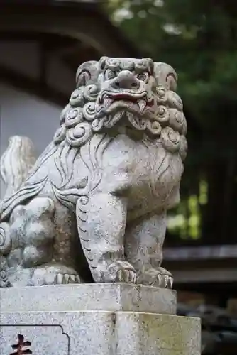 九頭龍神社の狛犬