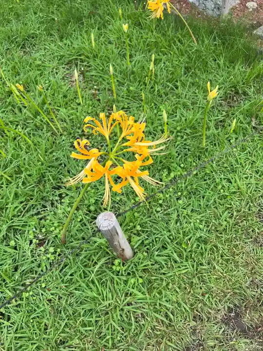 横浜 西方寺(神奈川県)