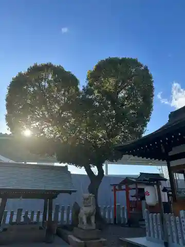 南宮宇佐八幡神社(脇浜神社)の{uncategorized: "未分類", other: "その他", undefined: "問題あり", building: "その他建物", grave: "お墓", sacred_gate: "鳥居", guardian: "狛犬", statue: "像", buddha: "仏像", history: "歴史", nature: "自然", garden: "庭園", animal: "動物", pagoda: "塔", temizu: "手水舎", mountain_gate: "山門・神門", sanctuary: "本殿・本堂", subordinate: "末社・摂社", art: "芸術", scenery: "景色", jizo: "地蔵", ema: "絵馬", goshuin: "御朱印", omikuji: "おみくじ", items: "授与品その他", amulet: "お守り", goshuincho: "御朱印帳", eats: "食事", festival: "お祭り", votive_dance: "神楽", shichigosan: "七五三参", wedding: "結婚式", experience: "体験その他", initially: "初詣", around: "周辺", anti_infection: "感染症対策"}