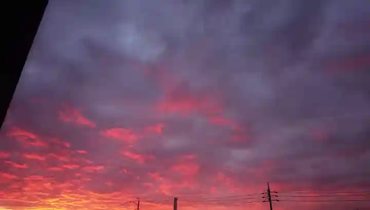 尾張大國霊神社(国府宮)の景色