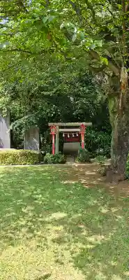 新倉氷川八幡神社の{uncategorized: "未分類", other: "その他", undefined: "問題あり", building: "その他建物", grave: "お墓", sacred_gate: "鳥居", guardian: "狛犬", statue: "像", buddha: "仏像", history: "歴史", nature: "自然", garden: "庭園", animal: "動物", pagoda: "塔", temizu: "手水舎", mountain_gate: "山門・神門", sanctuary: "本殿・本堂", subordinate: "末社・摂社", art: "芸術", scenery: "景色", jizo: "地蔵", ema: "絵馬", goshuin: "御朱印", omikuji: "おみくじ", items: "授与品その他", amulet: "お守り", goshuincho: "御朱印帳", eats: "食事", festival: "お祭り", votive_dance: "神楽", shichigosan: "七五三参", wedding: "結婚式", experience: "体験その他", initially: "初詣", around: "周辺", anti_infection: "感染症対策"}