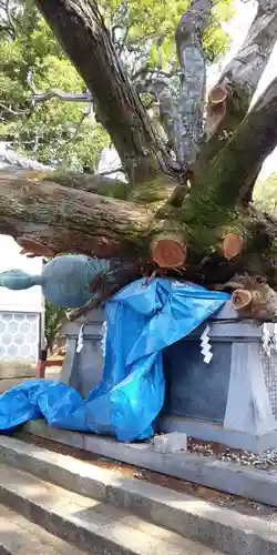 賀茂神社の自然