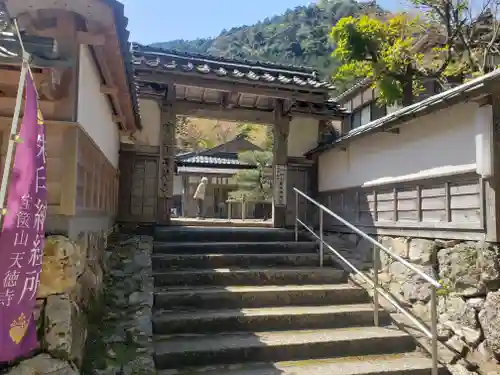 天徳寺の山門