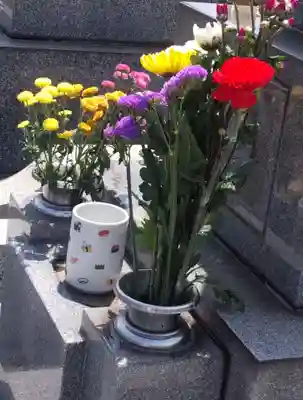 妙福寺(神奈川県)