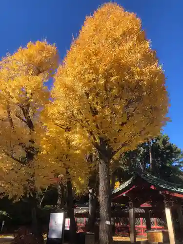 根津神社の御朱印