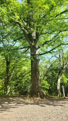 大蔵寺(福島県)