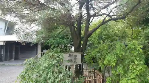 牛天神北野神社の庭園