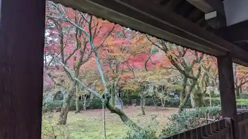 真正極楽寺（真如堂）(京都府)