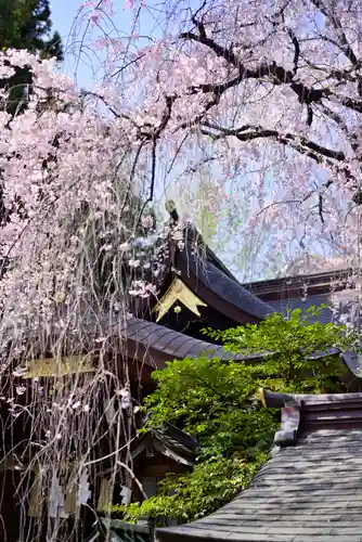 子安神社(東京都)