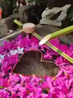 東京羽田 穴守稲荷神社の手水舎