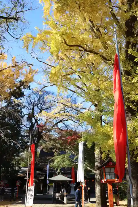 明王院(満願寺別院)の自然
