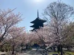 東寺（教王護国寺）(京都府)