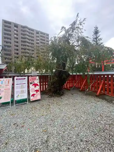 榴岡天満宮(宮城県)