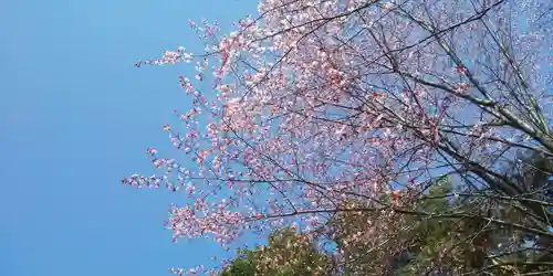 北海道護國神社の自然