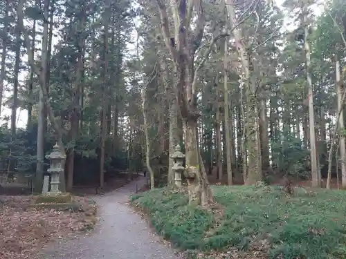 乃木神社の周辺