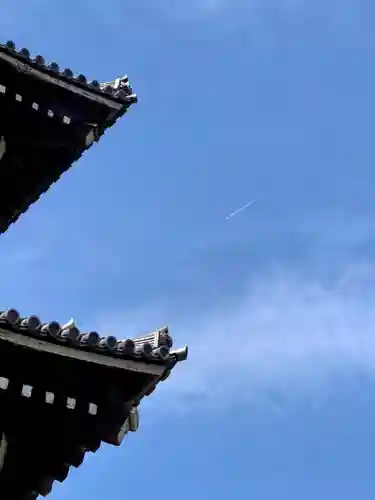 東福禅寺（東福寺）の景色