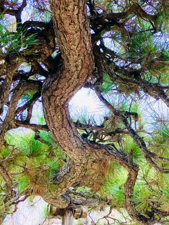 神武天皇遥拝殿(茨城県)