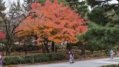建仁寺（建仁禅寺）(京都府)