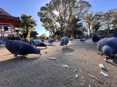 甚目寺(愛知県)